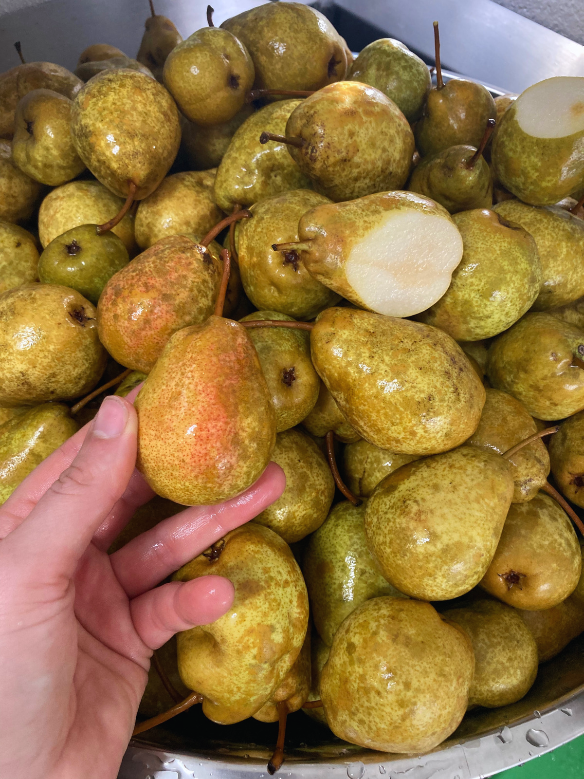 Pear Sauce