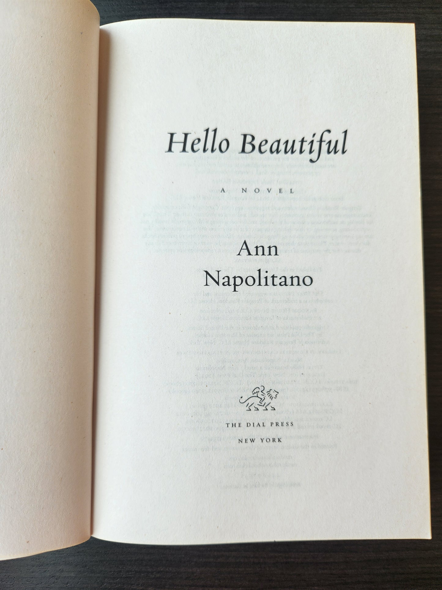 *Pre-loved* Hello Beautiful by Ann Napolitano