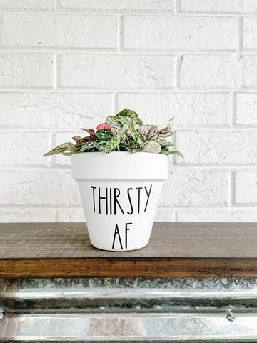Thirsty Af Plant Pot AloneThymeDesigns