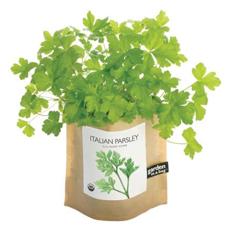 Garden in a Bag - Italian Parsley Phoenix Shop LLC