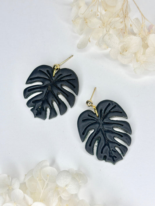 Black Monstera