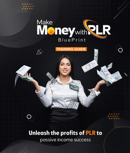 Make Money With PLR Blueprint (PLR / MRR) DIGITAL DOWNLOAD Phoenix Shop LLC