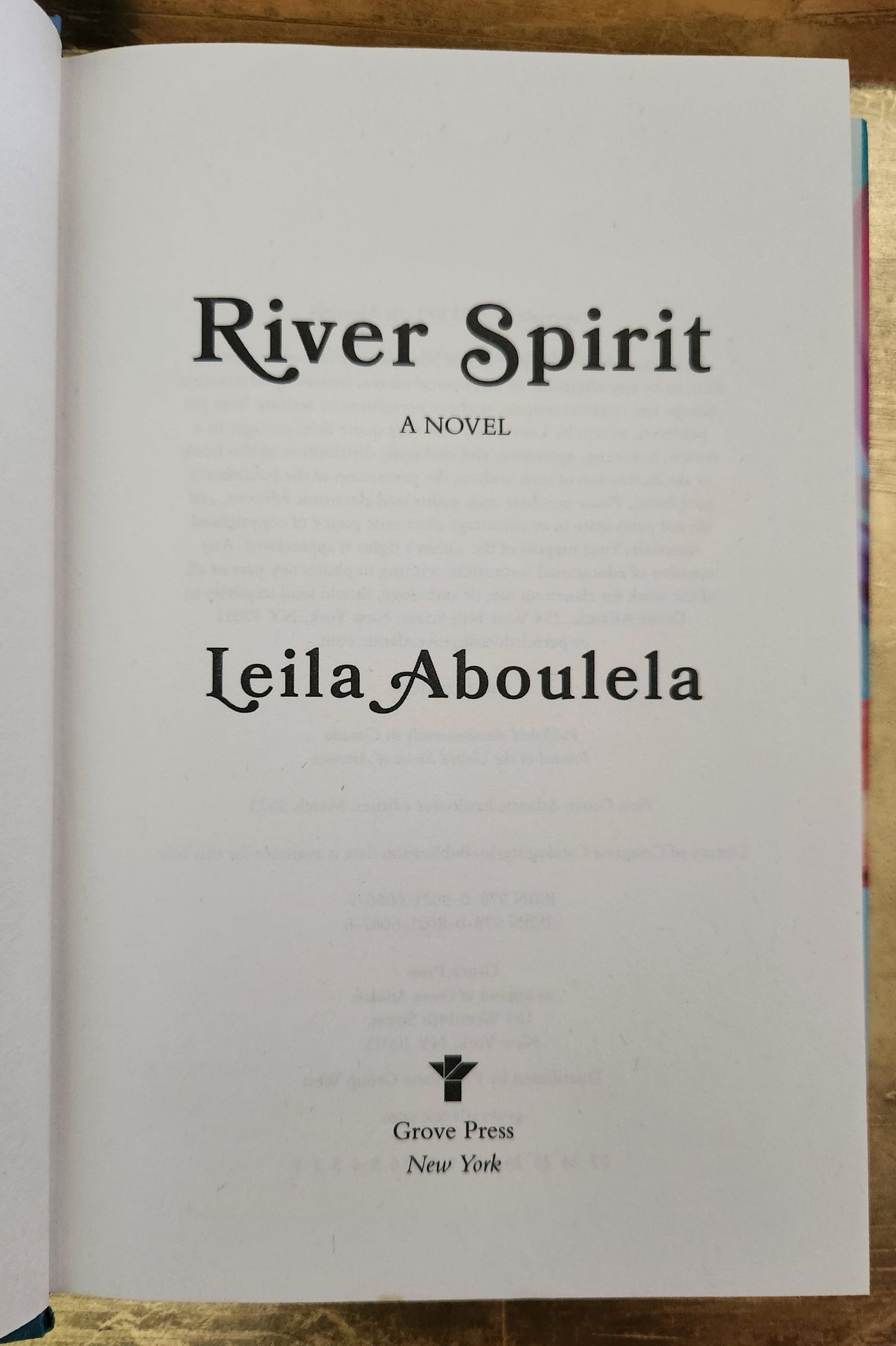 *Pre-loved* River Spirit by Leila Aboulela