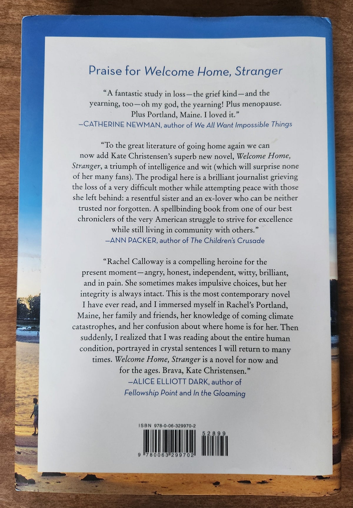 *Pre-loved* Welcome Home, Stranger By Kate Christensen