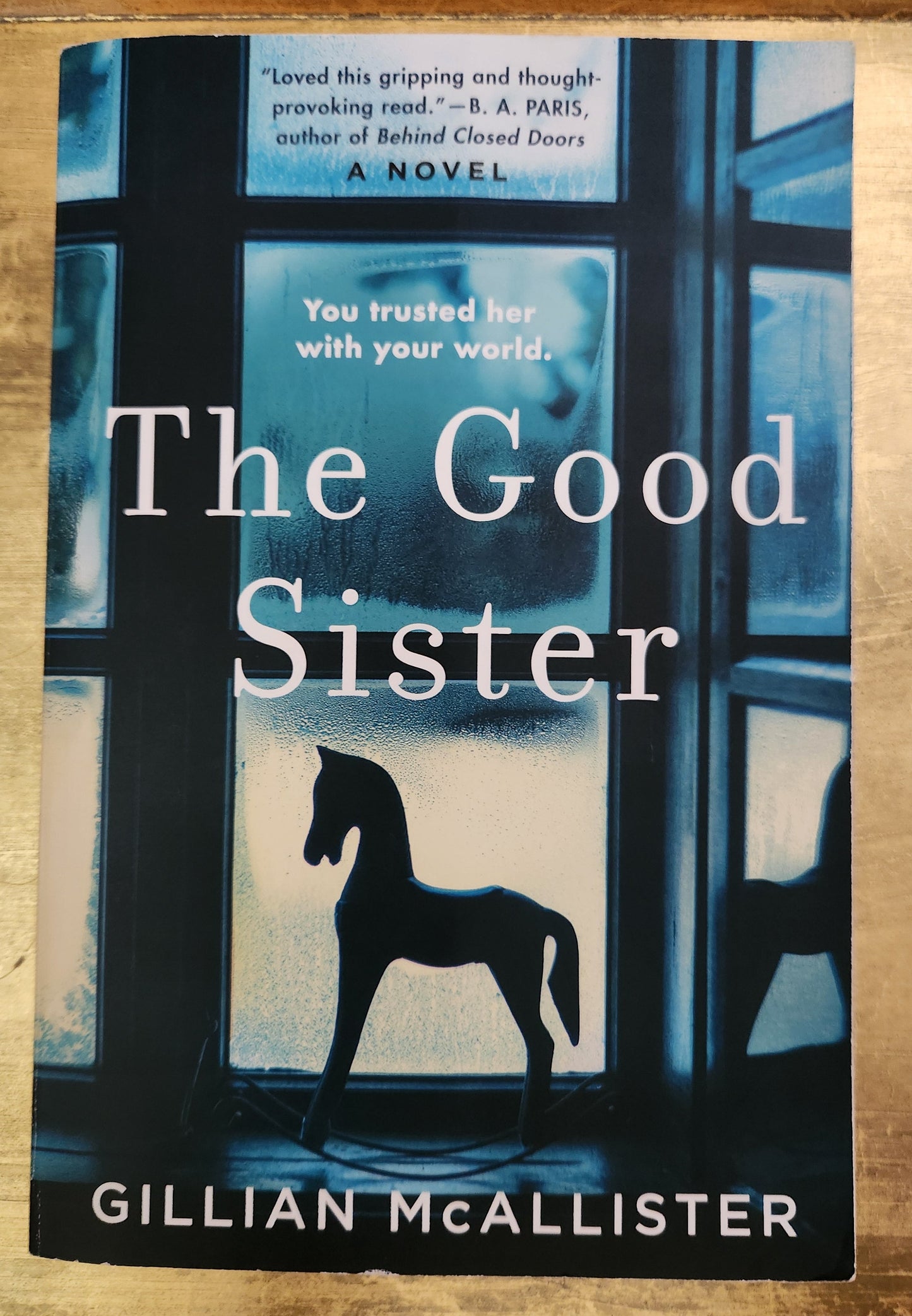 *Pre-loved* The Good Sister by Gillian McAllister