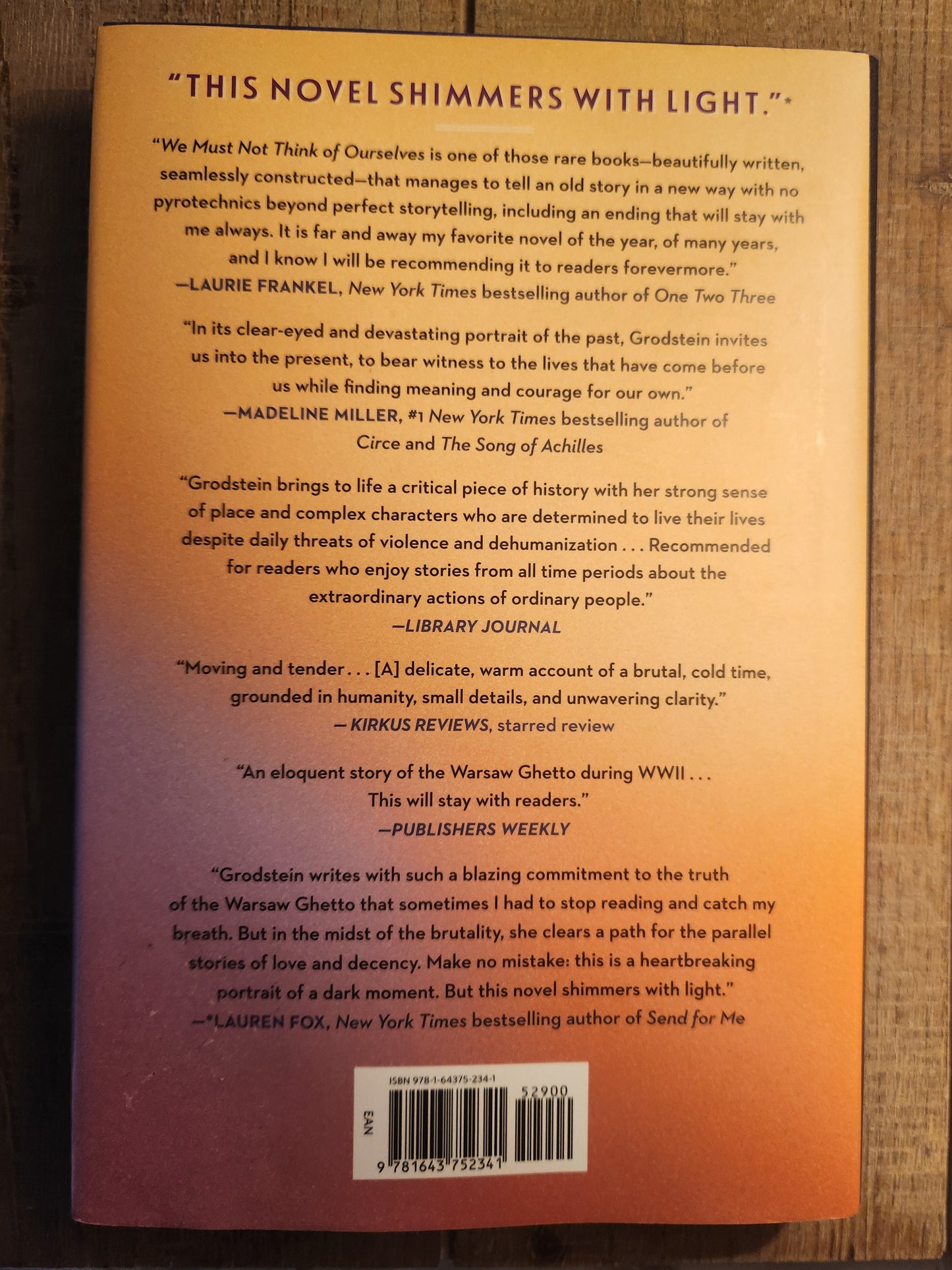 *Pre-loved* We Must Not Think of Ourselves by Lauren Grodstein