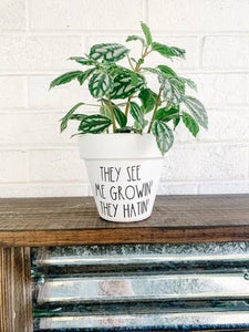 They See Me Growin' They Hatin' Plant Pot AloneThymeDesigns