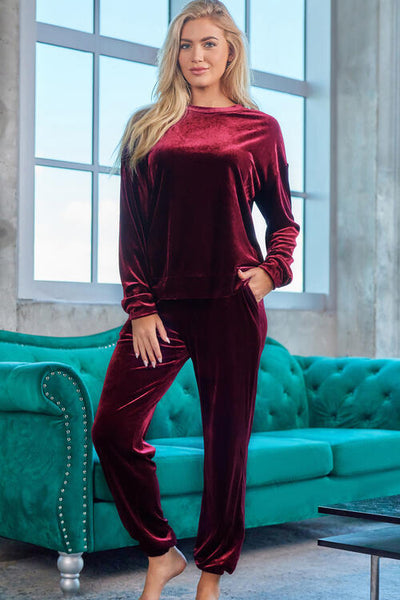 Velour Long Sleeve Top and Pants Lounge Set Trendsi