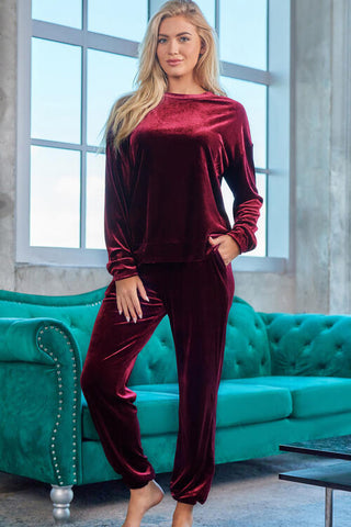 Velour Long Sleeve Top and Pants Lounge Set Trendsi