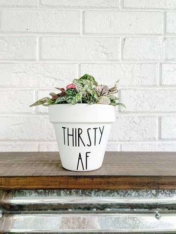 Thirsty Af Plant Pot AloneThymeDesigns