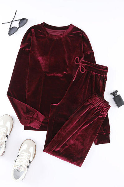 Velour Long Sleeve Top and Pants Lounge Set Trendsi