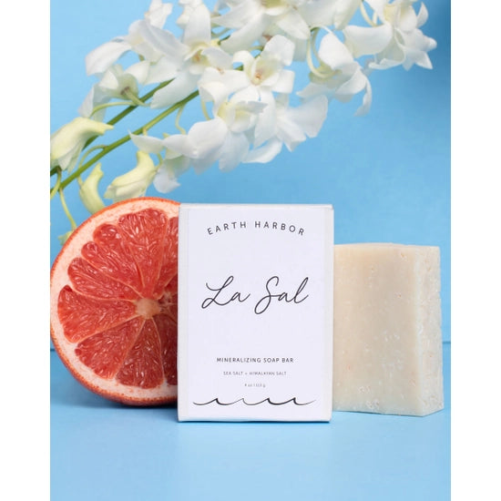 Sea Salt + Himalayan Salt Mineralizing Soap Phoenix Shop LLC